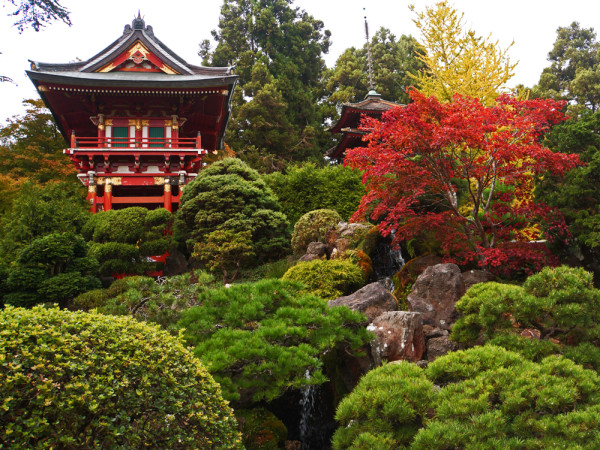 San Francisco's Japanese Gardens - 2