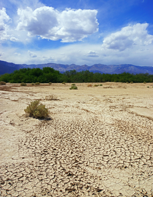 Death Valley's Parched Earth