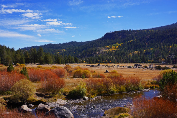 Autumn Stream