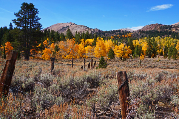 Autumn in the Sierras - 2