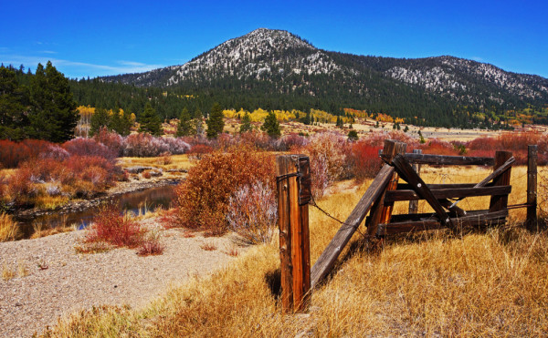 Autumn in the Sierras