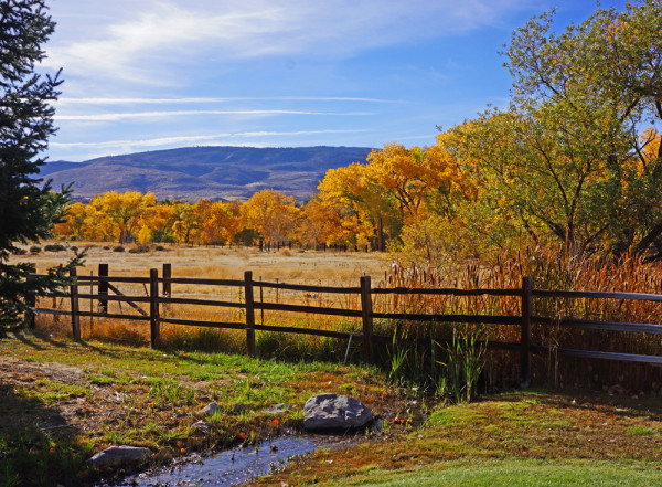 Autumn's Glory