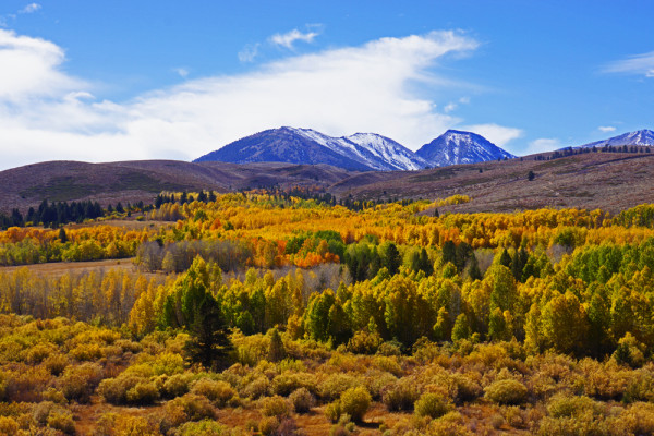 Autumn's Palette