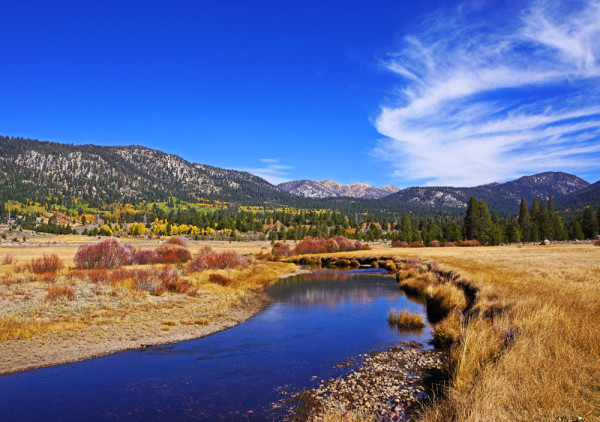 Carson Pass