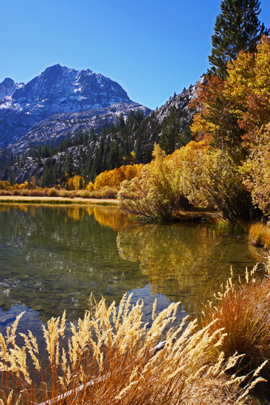 Crystal Pond Reflections