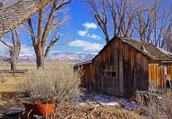Days gone by