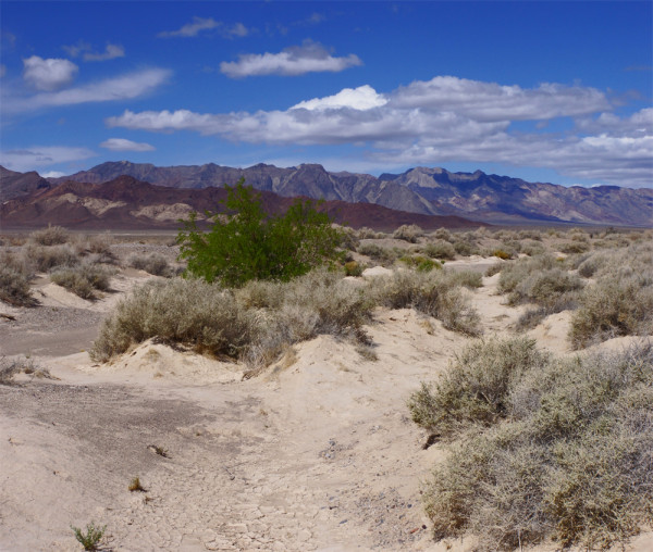 Death Valley - 1
