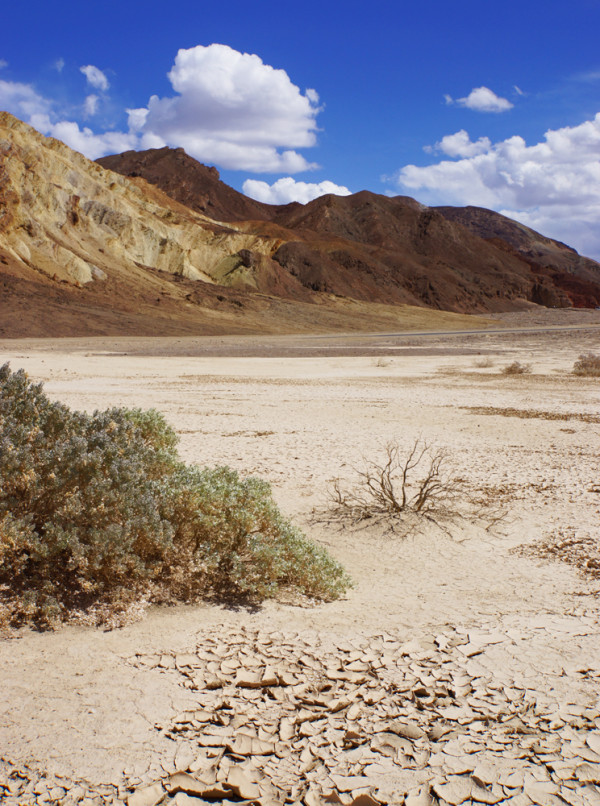 Death Valley's Parched Earth - 3