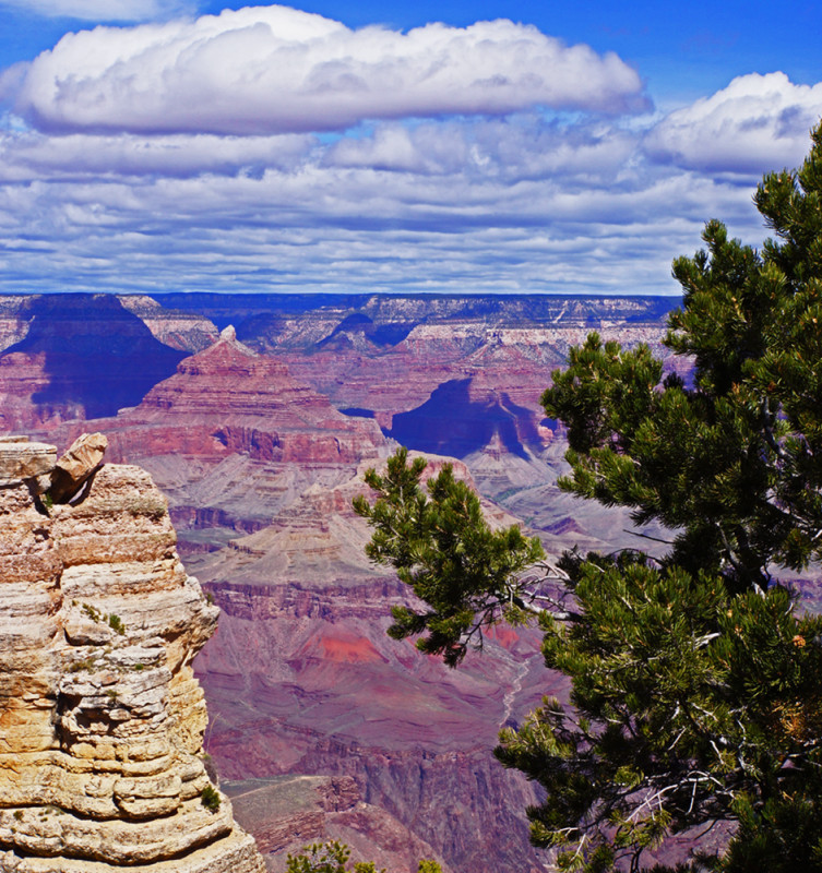 Grand Canyon - 2 - P