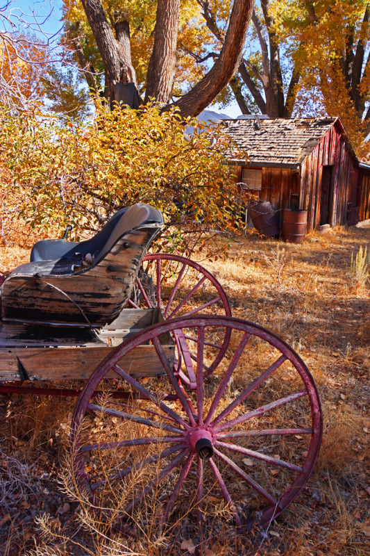 Homestead Transportation