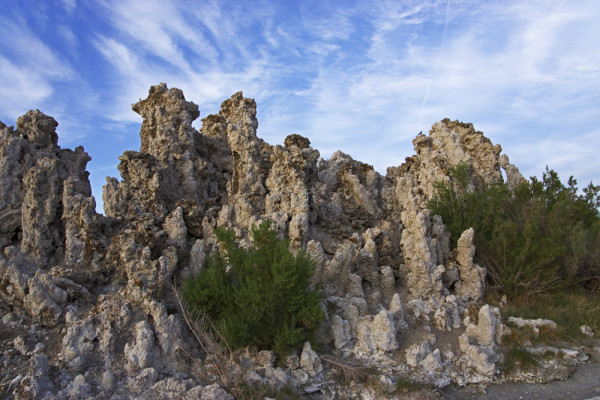 Mono Lake Tufa - 3