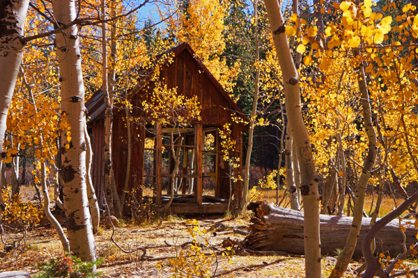 Riverside Homestead