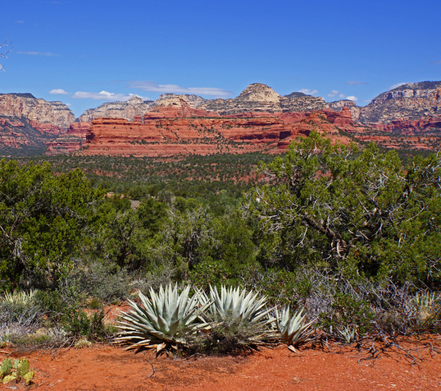 Sedona's Majesty