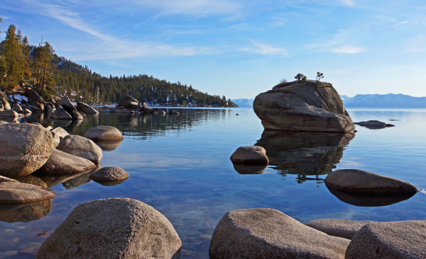 Tahoe's Bonsai Rock