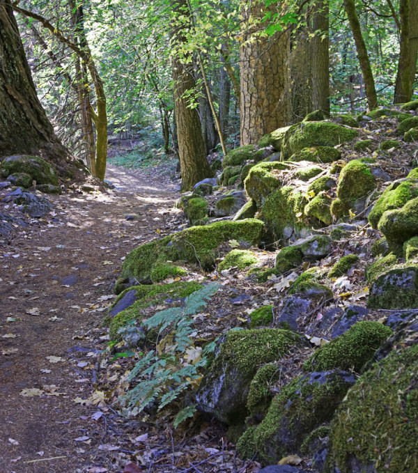 The Path to Serenity
