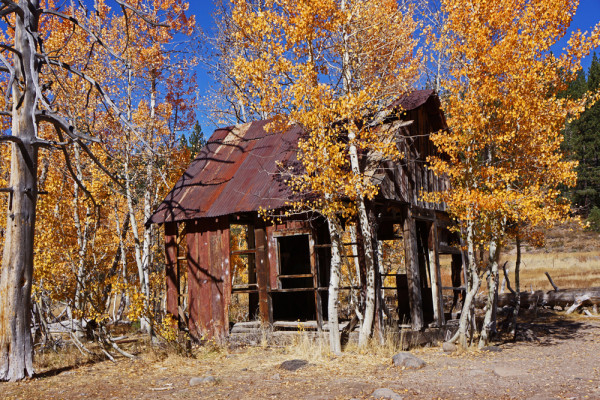 Truckee Homestead