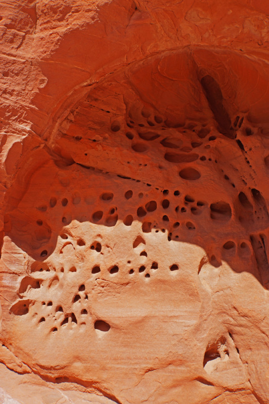 Valley of Fire Critter Condos