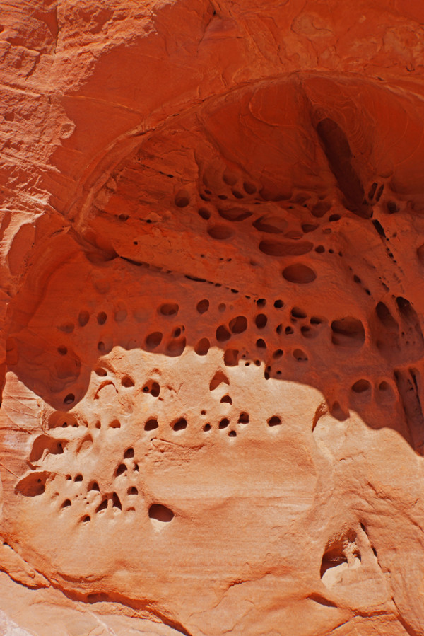 Valley of Fire Critter Condos