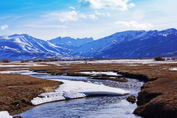 Winter Stream