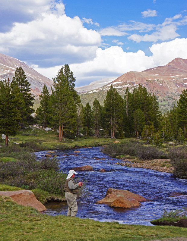 Yosemite Fly Fishing