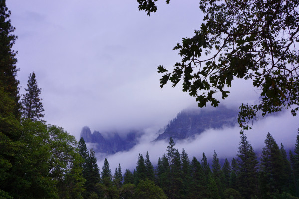 Yosemite in the Mist