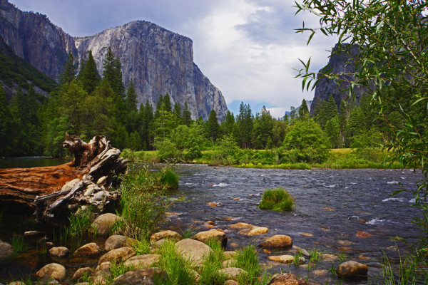 Yosemite's Merced River