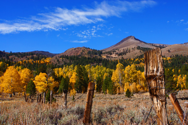 Autumn in the Sierras - 3