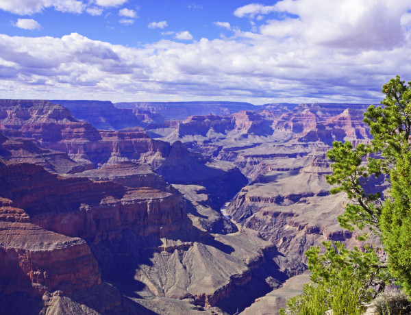 The Colorado River