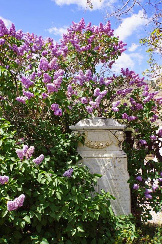 Fragrant Eternal Resting Place