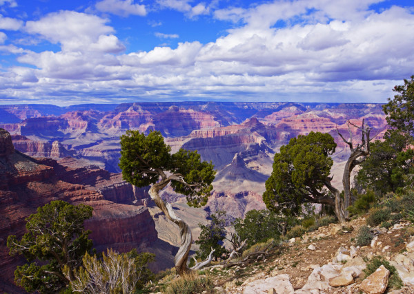 Grand Canyon's Majesty
