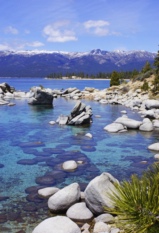 Tahoe's Bonsai Rock