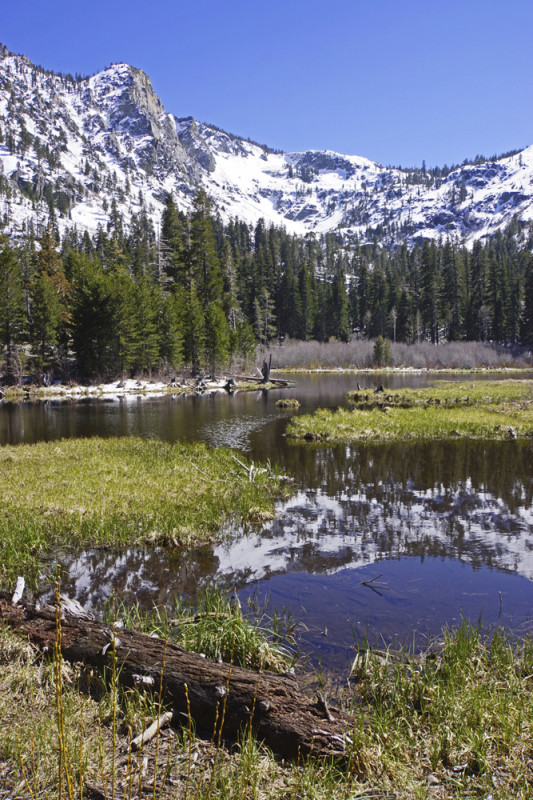 Lily Lake Reflections