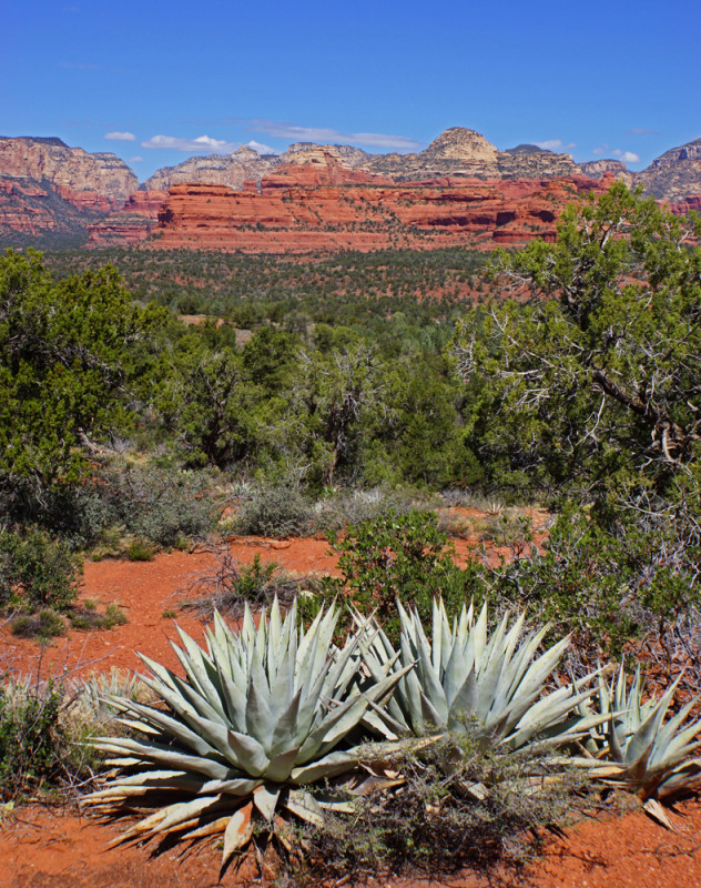 Sedona Desert Vista