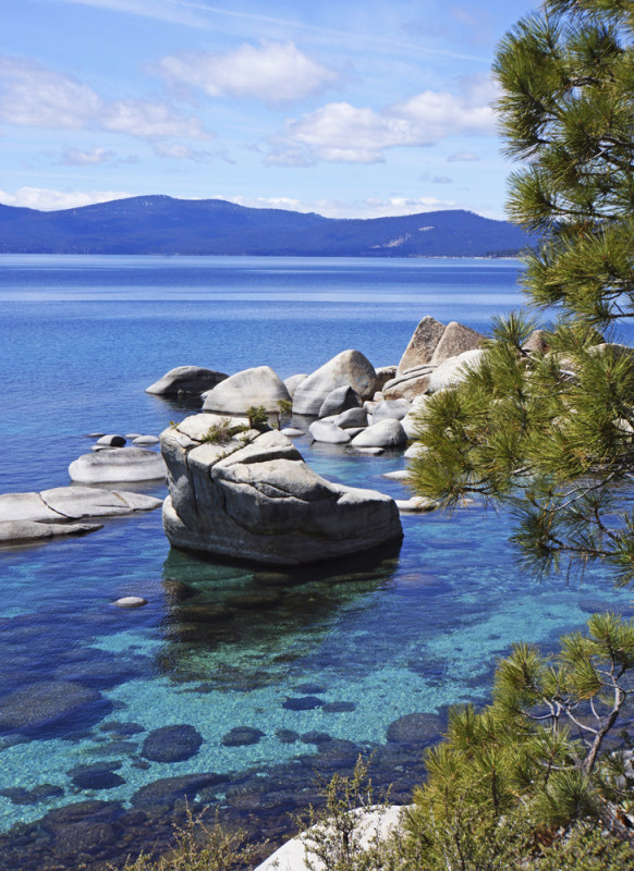Tahoe's Bonsai Rock II