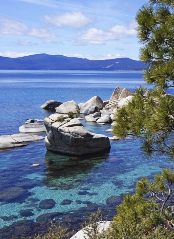 Tahoe's Bonsai Rock II