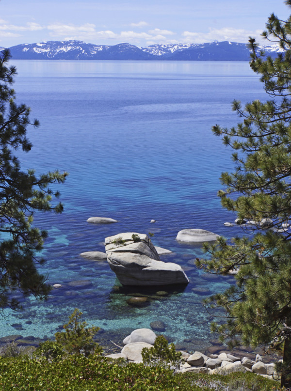 Tahoe's Hidden Cove IV