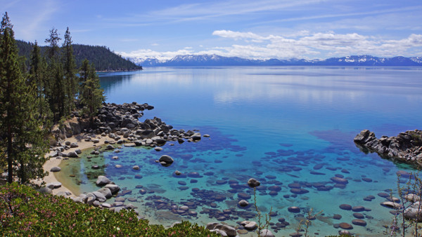 Tahoe's Hidden Cove III