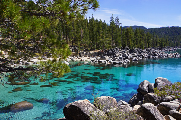 Tahoe's Hidden Cove