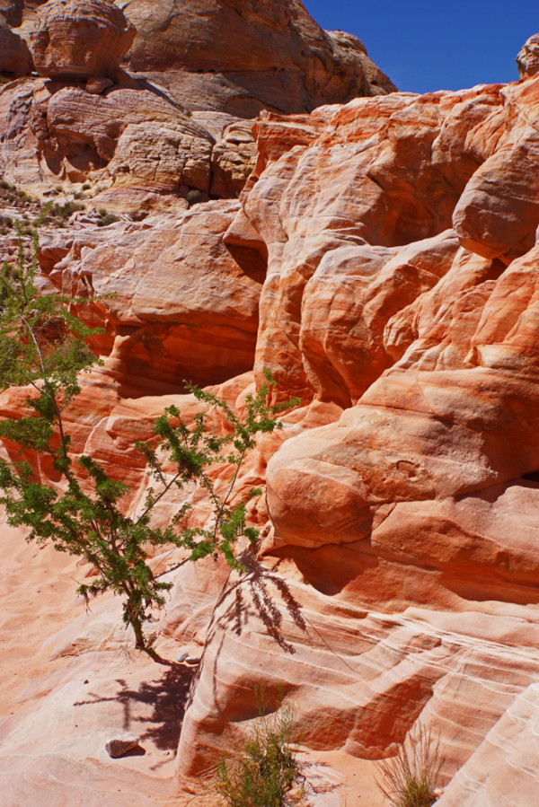 Valley of Fire - 6