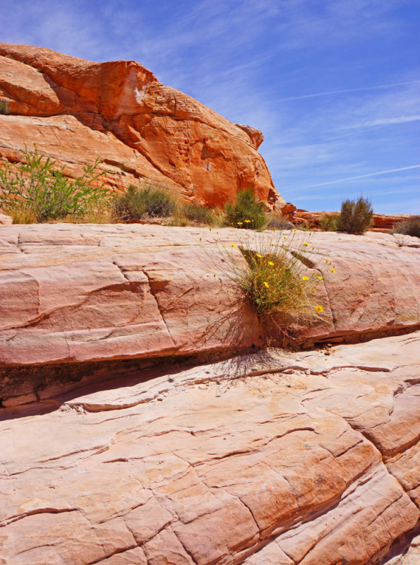 Valley of Fire III