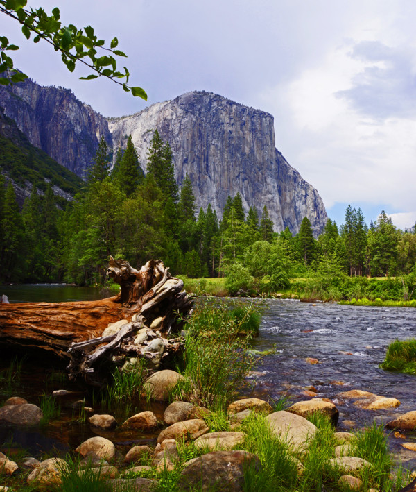 Yosemite's Merced River - 2