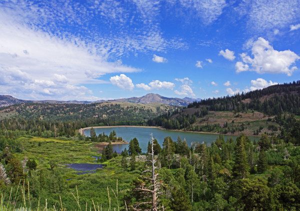 Carson Pass-Red Lake - WP