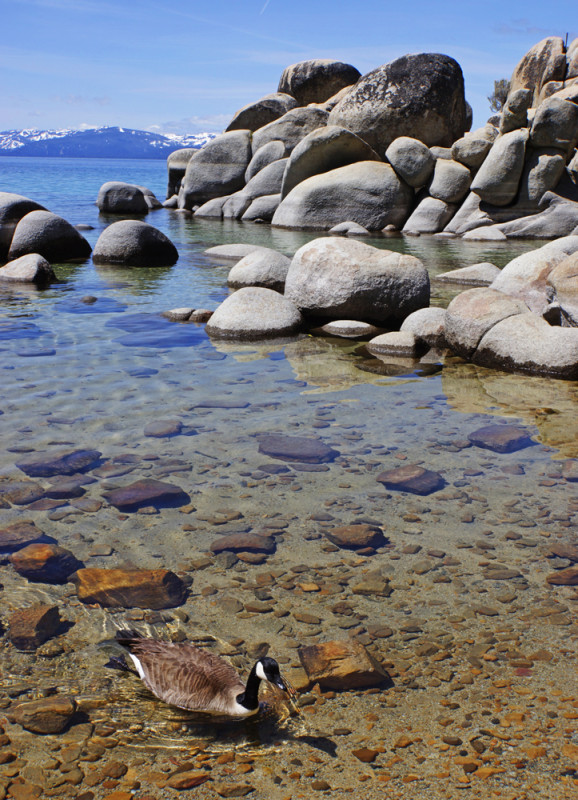 Cruising Sand Harbor II