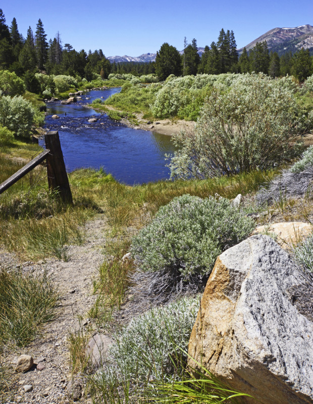 High Sierra Creek