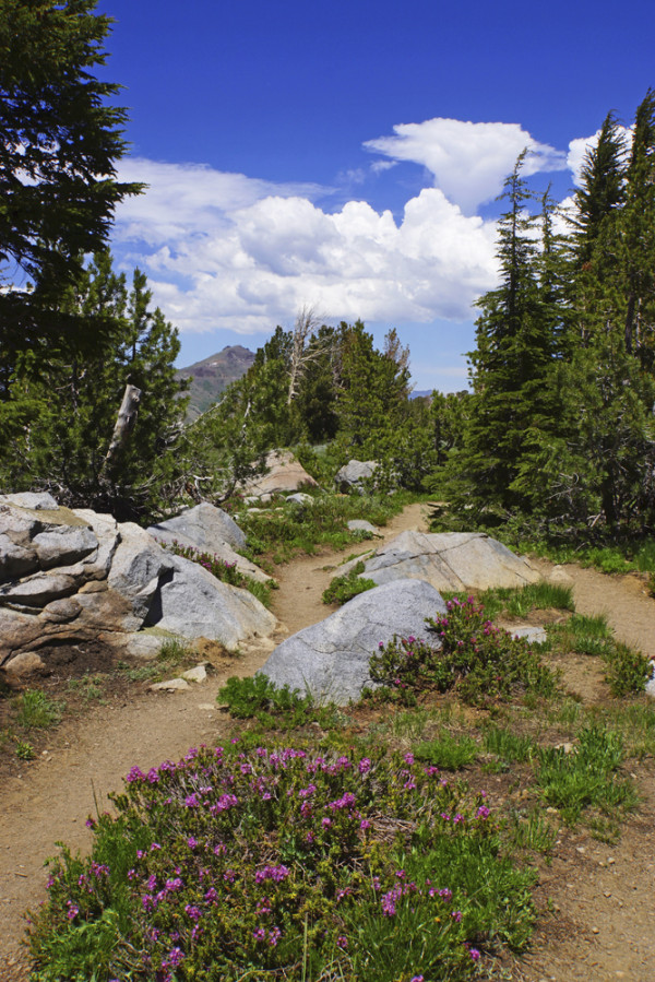 Hiking the Sierras