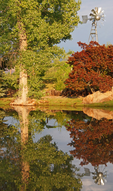 Windmill Reflection II