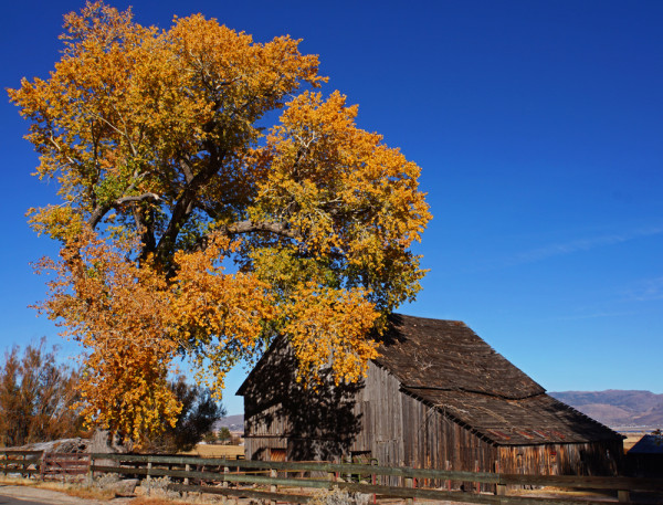 Acient Nevada Barn