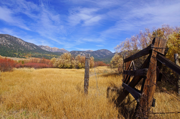 Ancient Pasture II
