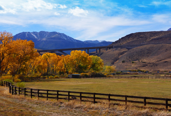 Autumn Pasture