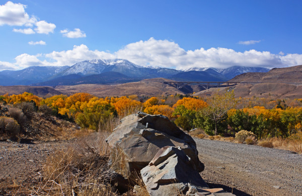 Autumn in the Carson Valley